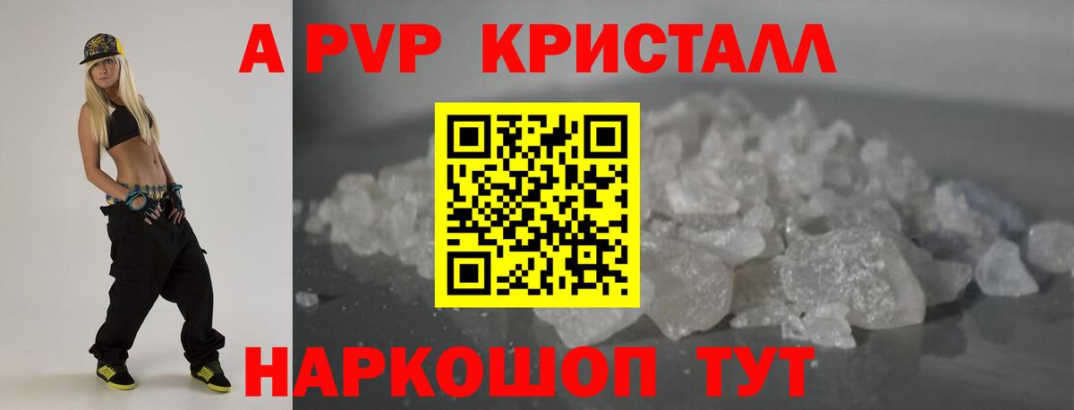 A PVP СК КРИС Саров