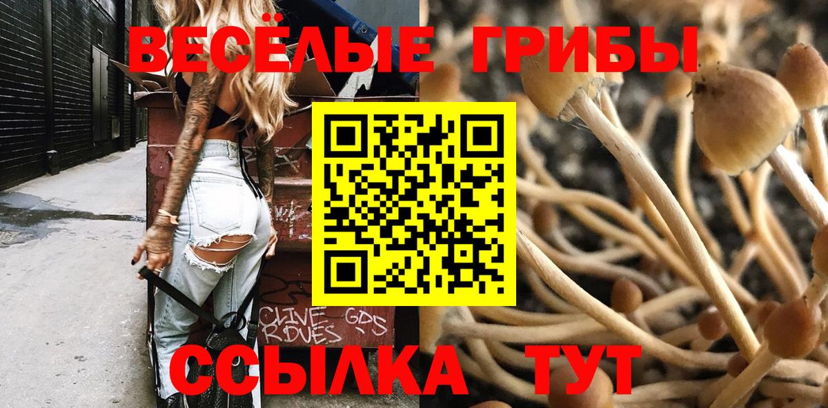 Галлюциногенные грибы мицелий  где можно купить   Вход с VPN  Саров  Псилоцибиновые грибы Psilocybe 